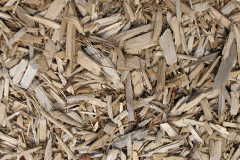 biomass boilers Hoccombe