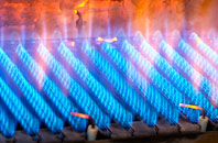 Hoccombe gas fired boilers